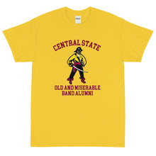 Load image into Gallery viewer, Old & Miserable