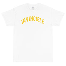 Load image into Gallery viewer, Invincible